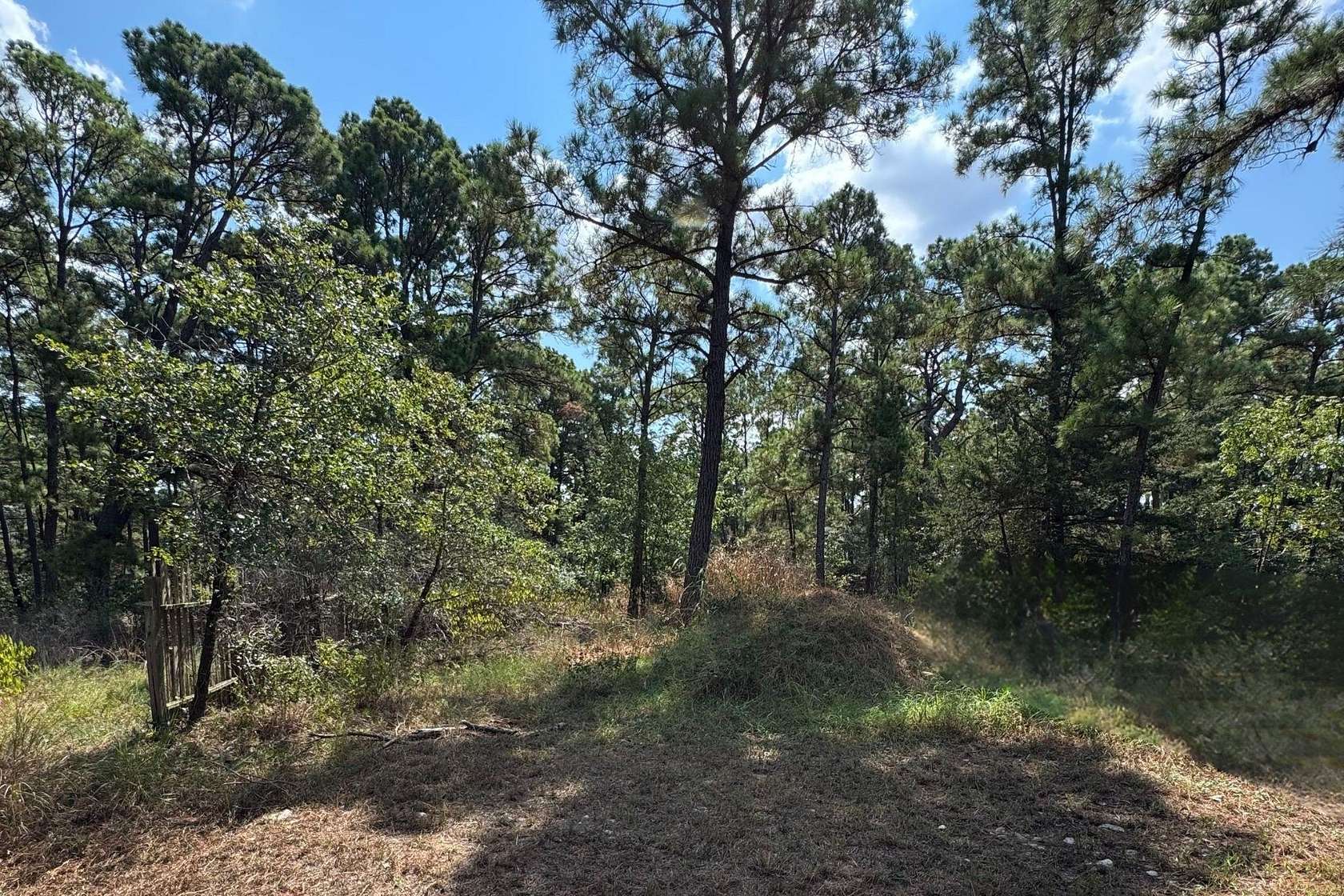 0.35 Acres of Land for Sale in Bastrop, Texas