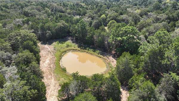 120 Acres of Land for Sale in Smithville, Texas