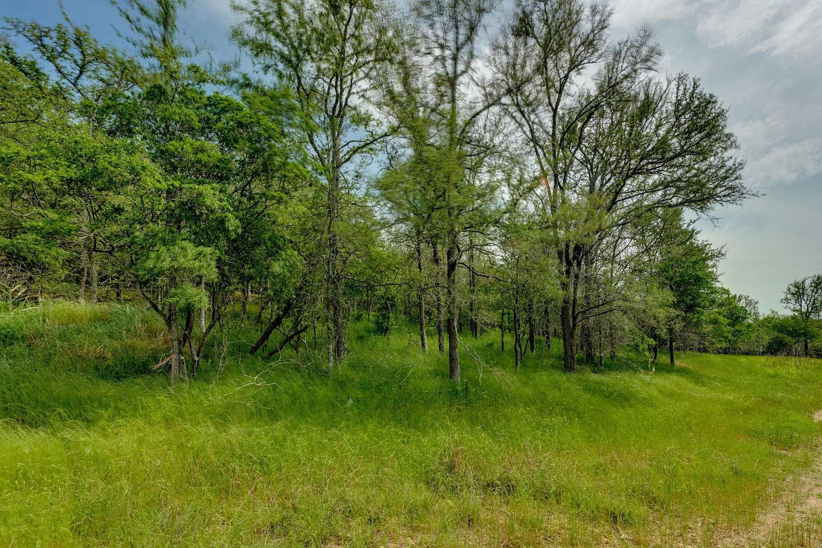 0.26 Acres of Residential Land for Sale in Bastrop, Texas
