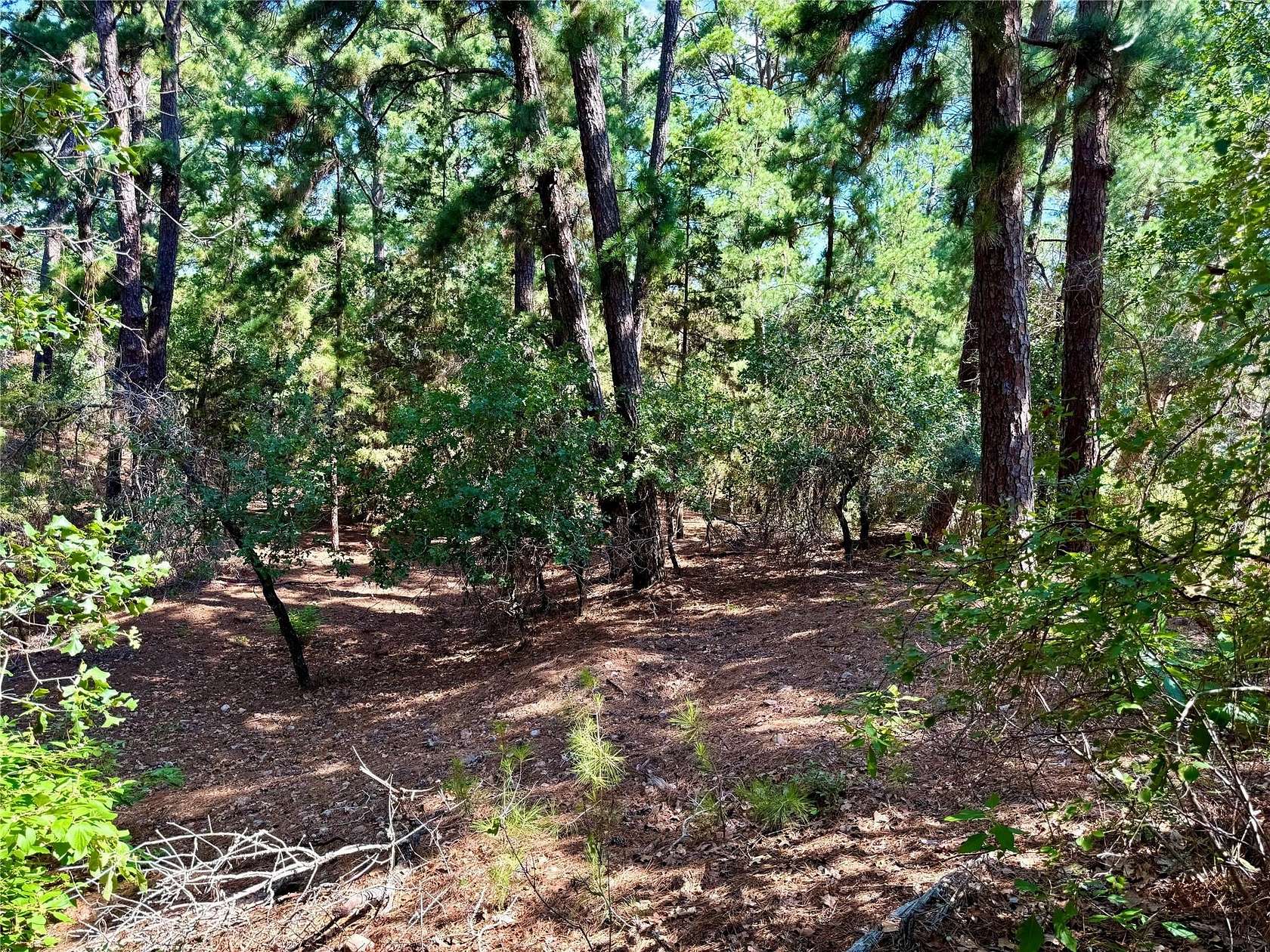 0.74 Acres of Residential Land for Sale in Bastrop, Texas