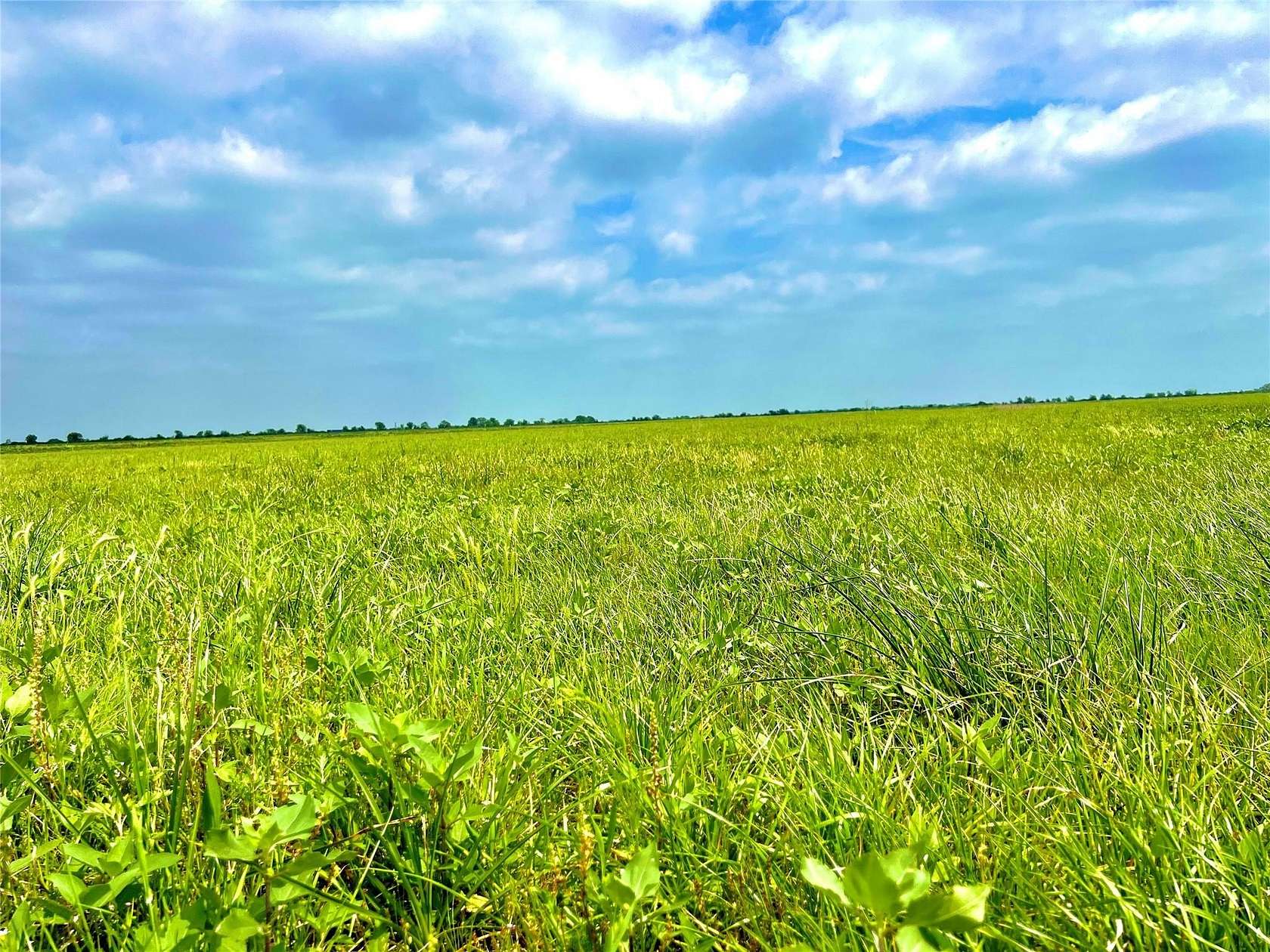 10.7 Acres of Land for Sale in Eagle Lake, Texas