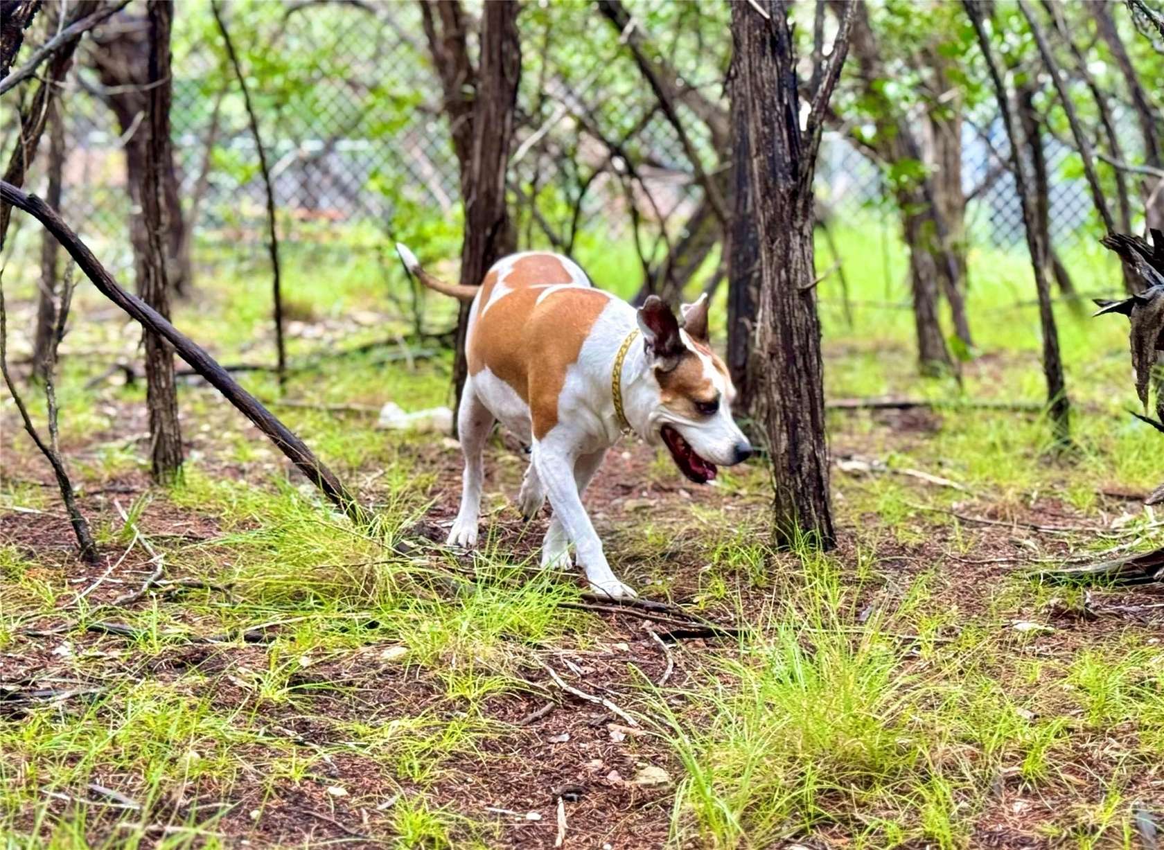 0.1 Acres of Land for Sale in Lakehills, Texas