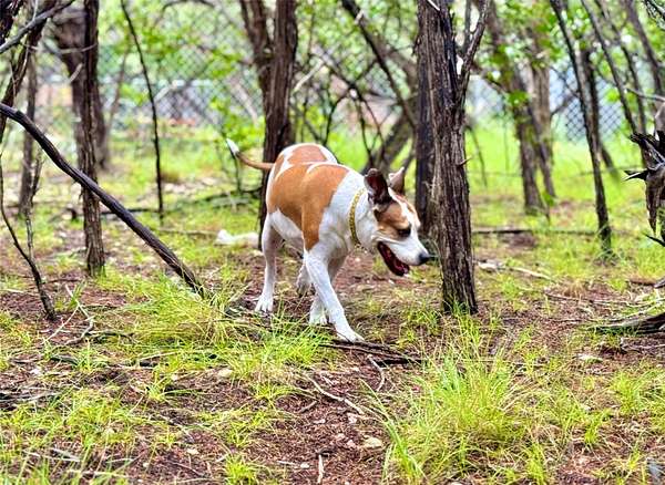 0.1 Acres of Land for Sale in Lakehills, Texas