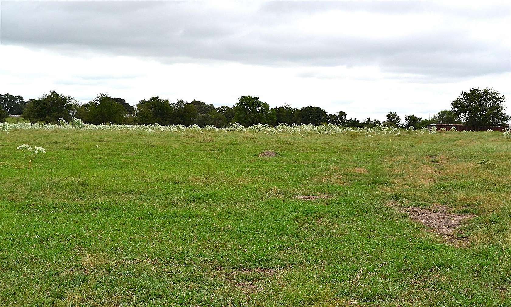35.8 Acres of Recreational Land & Farm for Sale in Schulenburg, Texas