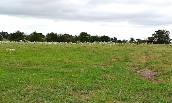 35.8 Acres of Recreational Land & Farm for Sale in Schulenburg, Texas
