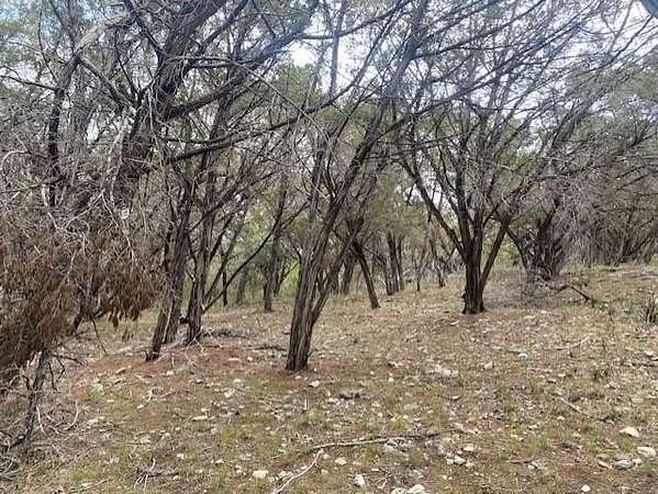 0.4 Acres of Residential Land for Sale in Lago Vista, Texas