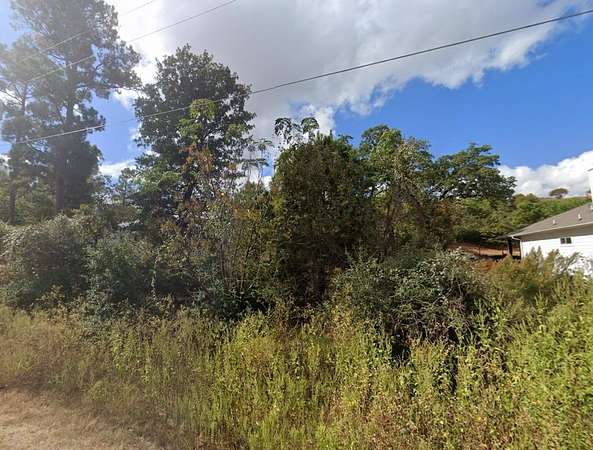 0.22 Acres of Residential Land for Sale in Bastrop, Texas