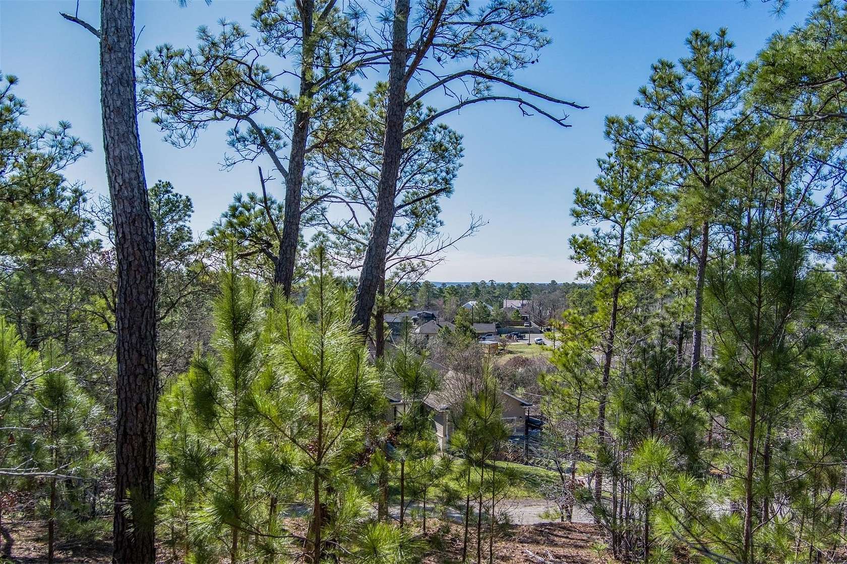 0.5 Acres of Residential Land for Sale in Bastrop, Texas