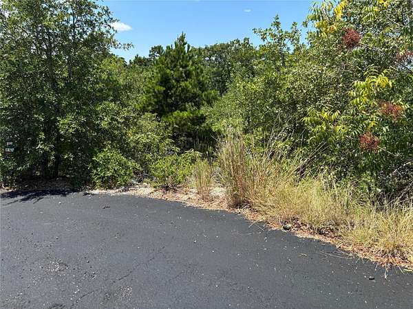 0.38 Acres of Residential Land for Sale in Bastrop, Texas