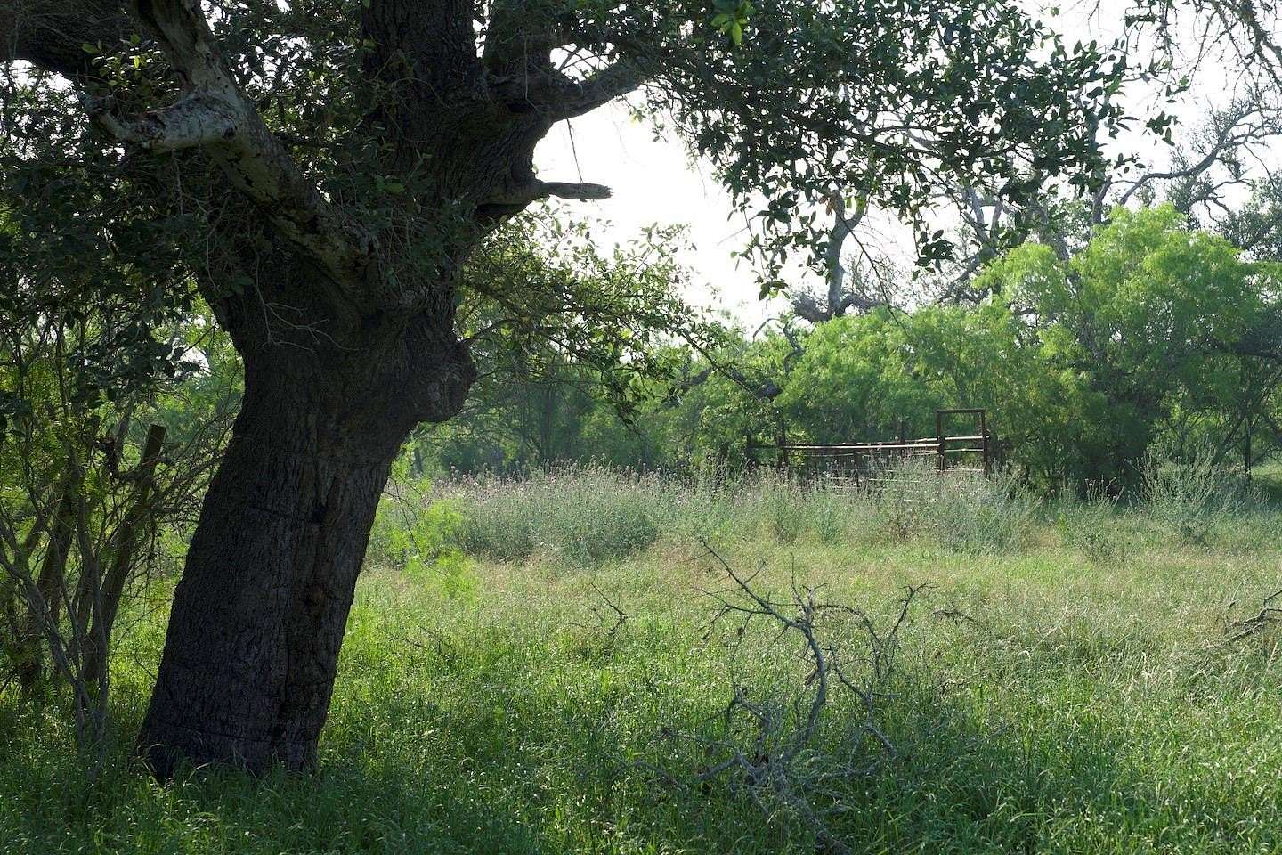 314 Acres of Recreational Land for Sale in Red Rock, Texas