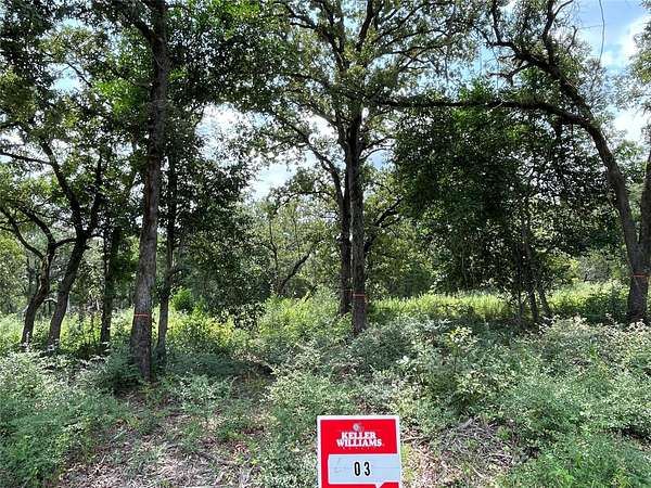 1.1 Acres of Residential Land for Sale in Rockdale, Texas