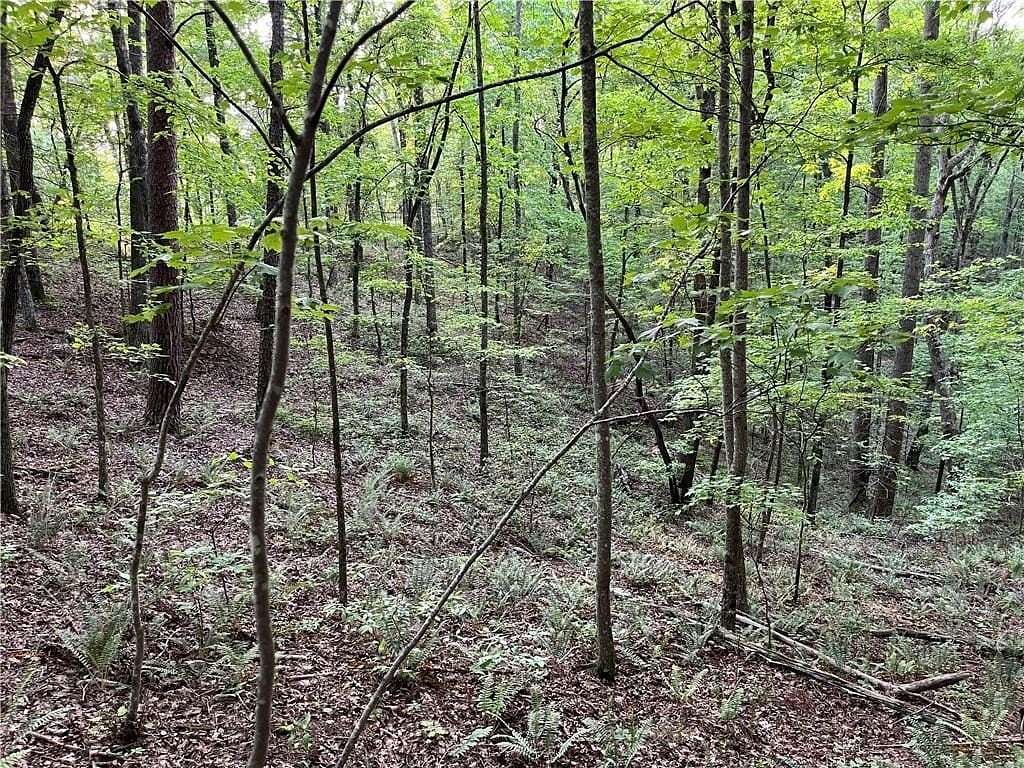 1.48 Acres of Residential Land for Sale in Talking Rock, Georgia