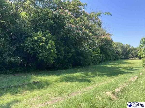 6.6 Acres of Land for Sale in Dillon, South Carolina