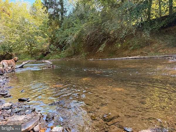 113 Acres of Recreational Land & Farm for Sale in Appomattox, Virginia