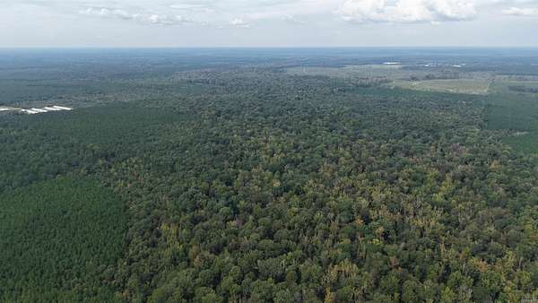 240 Acres of Recreational Land for Sale in Rison, Arkansas