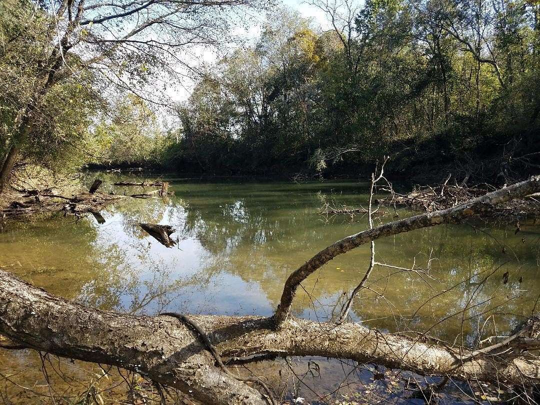 16.2 Acres of Recreational Land for Sale in Whitwell, Tennessee