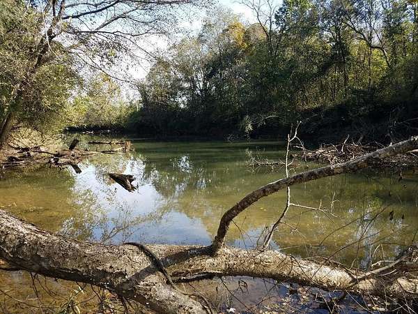 16.2 Acres of Recreational Land for Sale in Whitwell, Tennessee