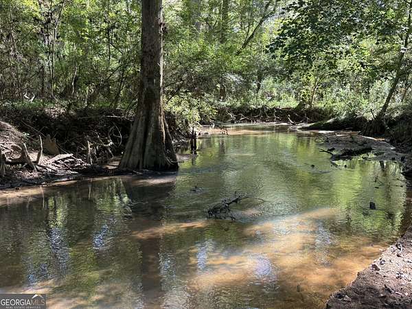 32 Acres of Agricultural Land for Sale in Webb, Alabama