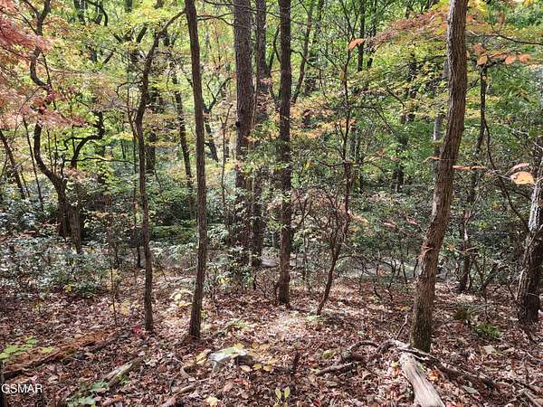 0.21 Acres of Land for Sale in Sevierville, Tennessee
