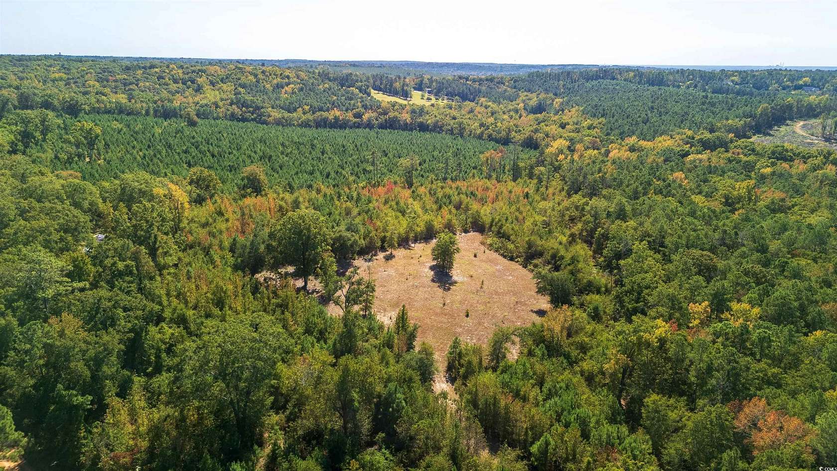 10 Acres of Land for Sale in Dalzell, South Carolina