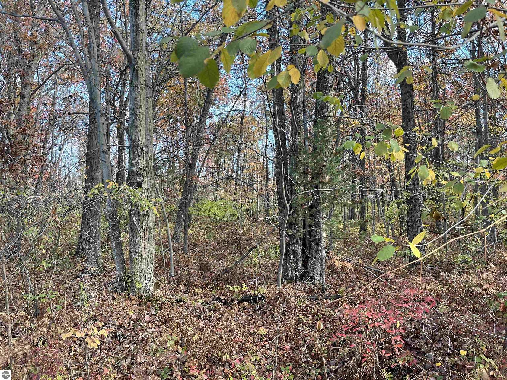 60 Acres of Recreational Land for Sale in Omer, Michigan