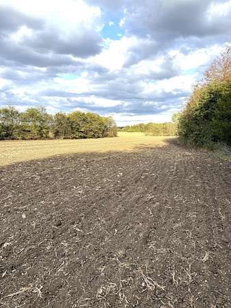 115 Acres of Agricultural Land for Sale in Crawford, Mississippi