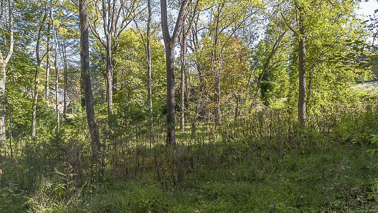 0.48 Acres of Residential Land for Sale in Lexington, Virginia