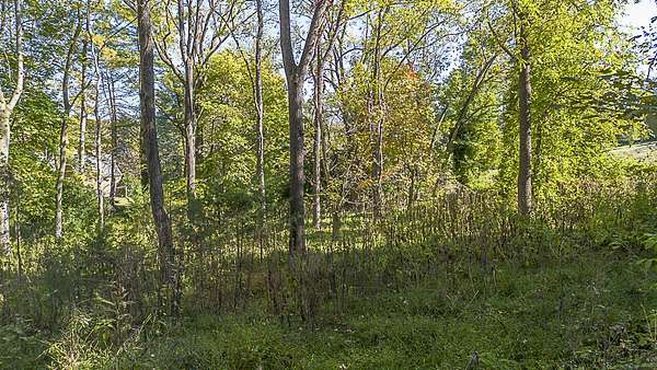 0.48 Acres of Residential Land for Sale in Lexington, Virginia