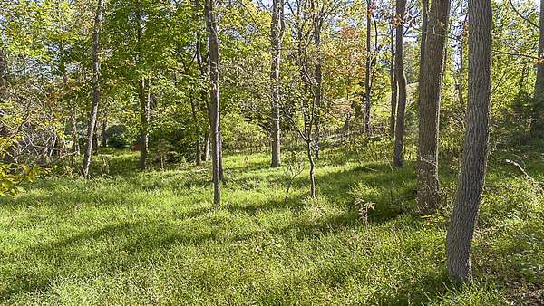 0.48 Acres of Residential Land for Sale in Lexington, Virginia