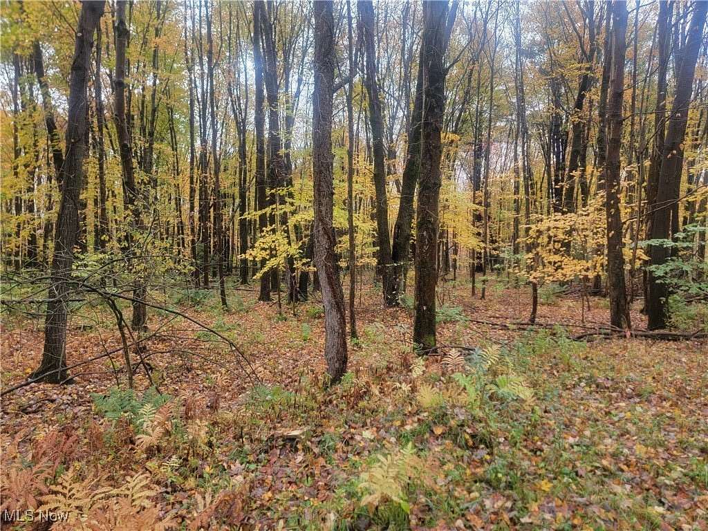 0.94 Acres of Land for Sale in Andover, Ohio