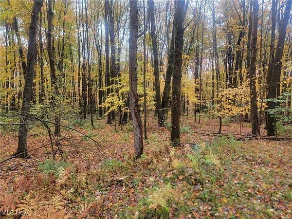 0.94 Acres of Land for Sale in Andover, Ohio