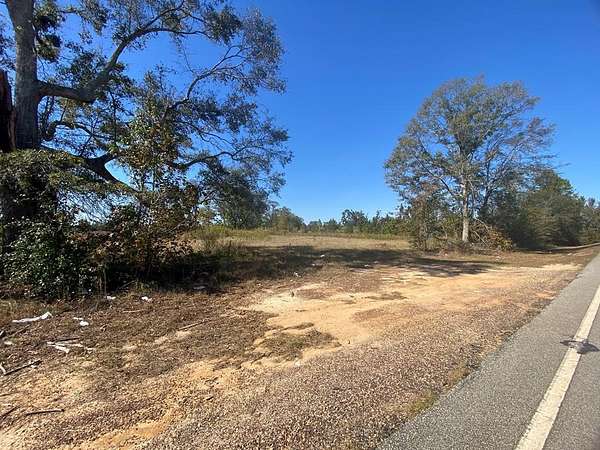 7.77 Acres of Residential Land for Sale in Tarrytown, Georgia