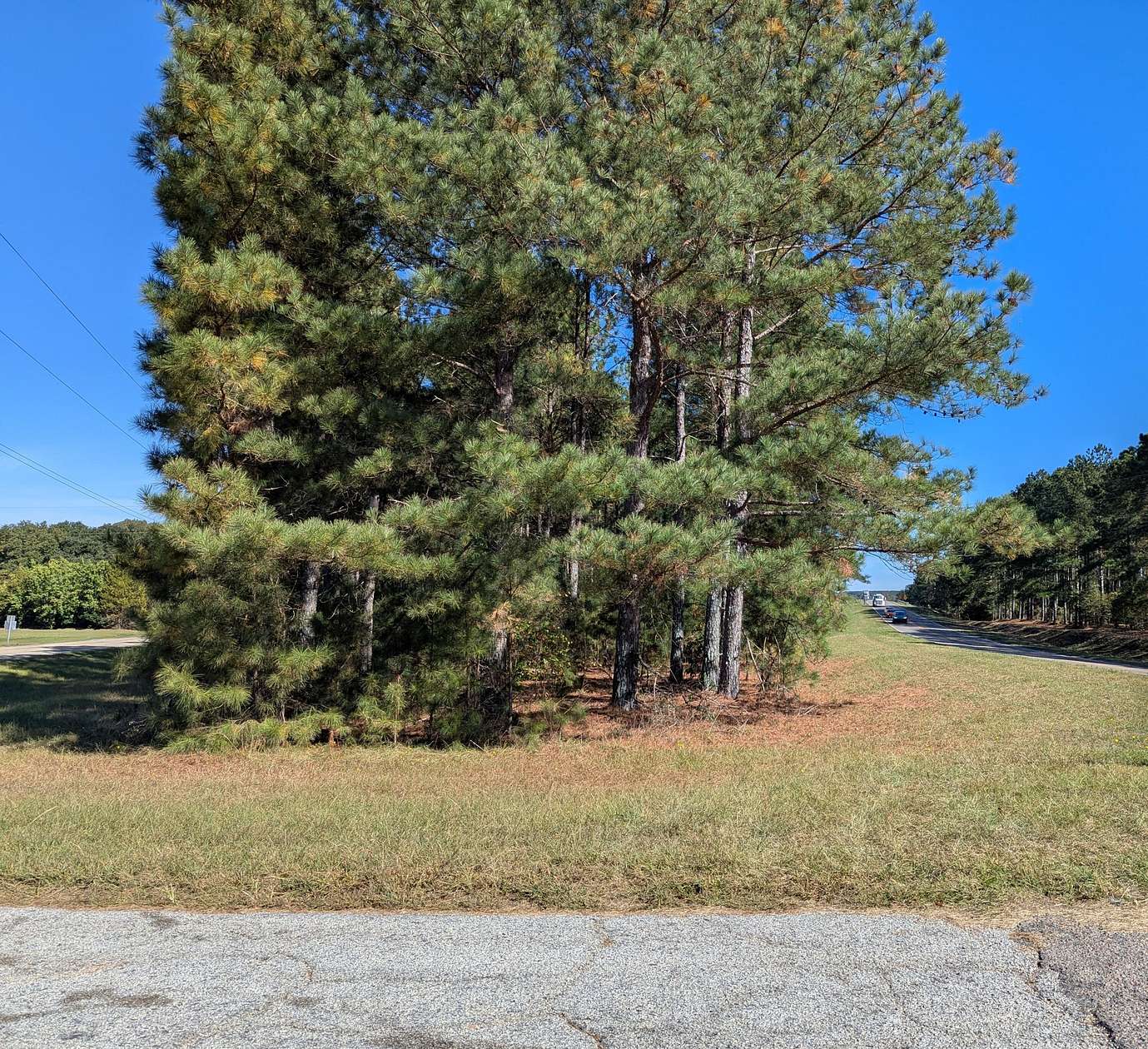 3 Acres of Residential Land for Sale in Trenton, South Carolina