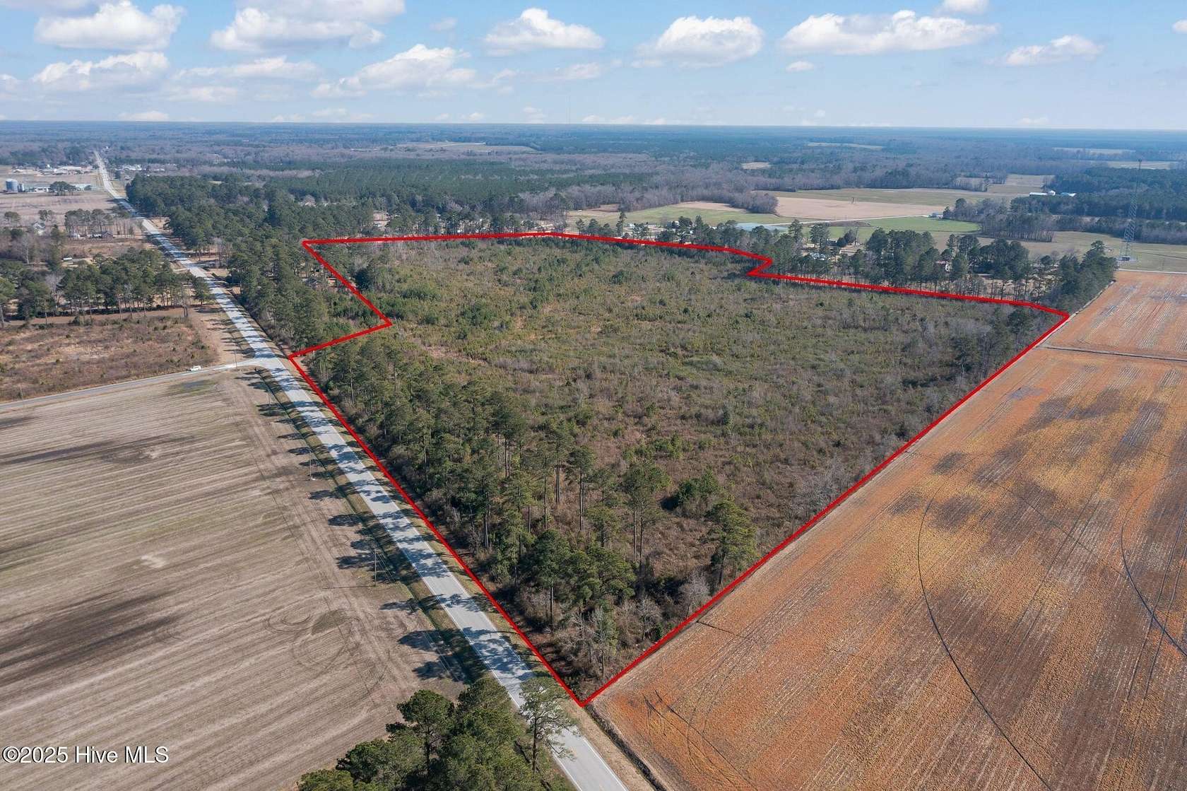 60.8 Acres of Land for Sale in Trenton, North Carolina