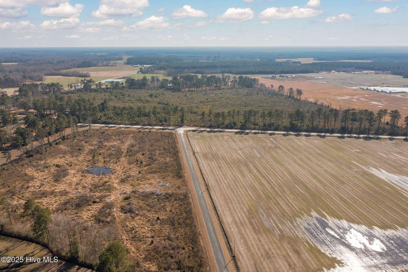 53.3 Acres of Recreational Land for Sale in Trenton, North Carolina