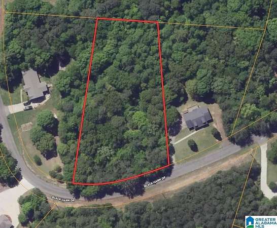 1 Acre of Residential Land for Sale in Bessemer, Alabama