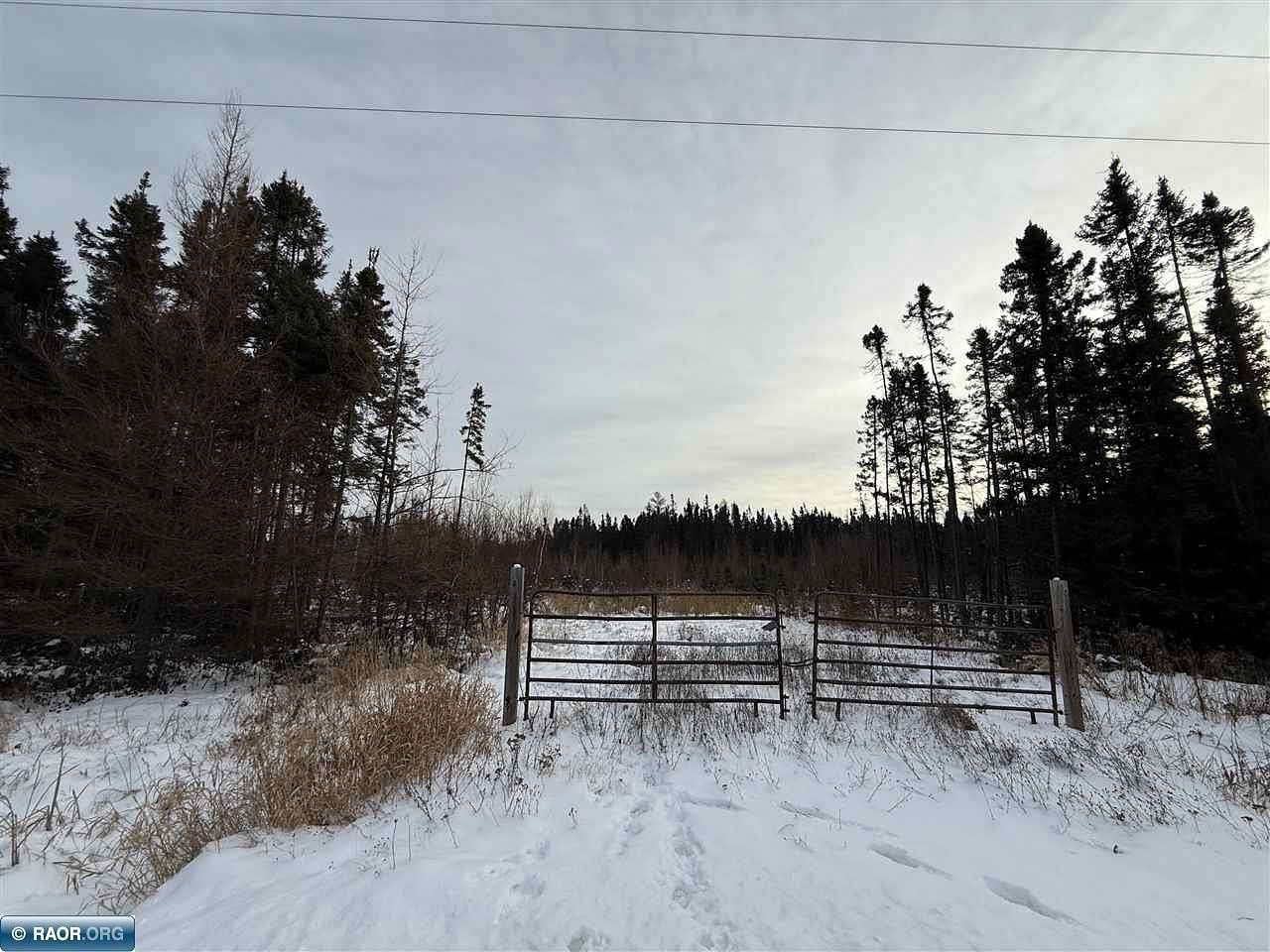 36.2 Acres of Recreational Land for Sale in Toivola, Minnesota