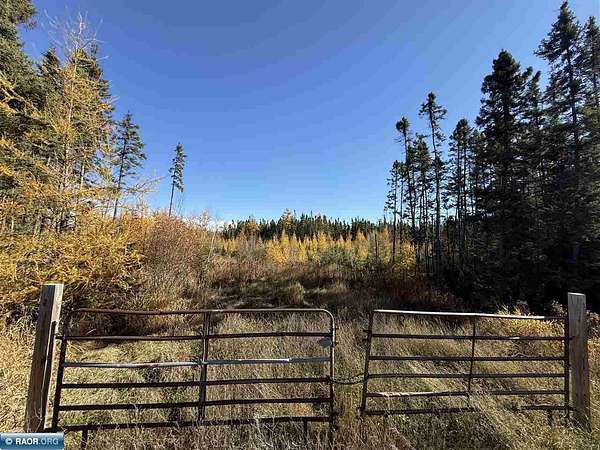 36.2 Acres of Recreational Land for Sale in Toivola, Minnesota