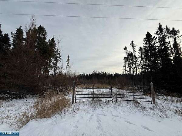 36.2 Acres of Recreational Land for Sale in Toivola, Minnesota