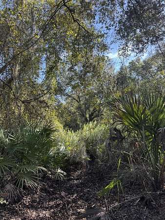 2.5 Acres of Land for Sale in Okeechobee, Florida