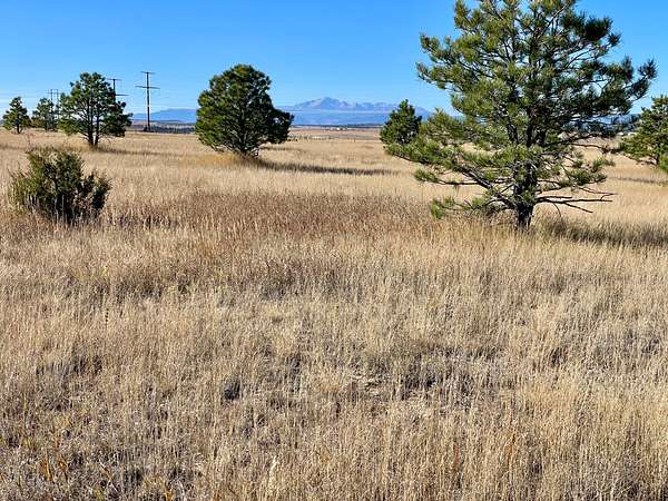 50 Acres of Recreational Land & Farm for Sale in Elbert, Colorado