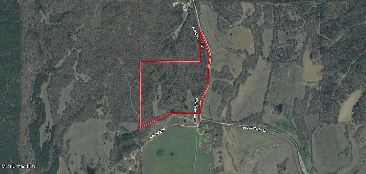 40 Acres of Land for Sale in Cascilla, Mississippi