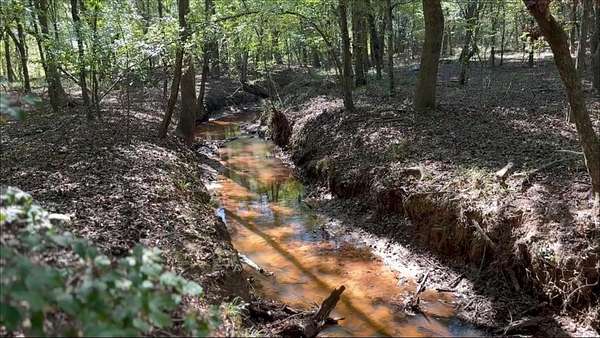 13.5 Acres of Land for Sale in Laneville, Texas