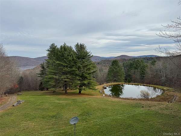 106 Acres of Recreational Land with Home for Sale in Roscoe, New York