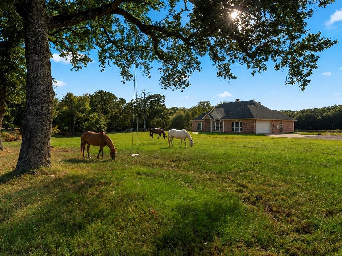 17.7 Acres of Land with Home for Sale in Athens, Texas