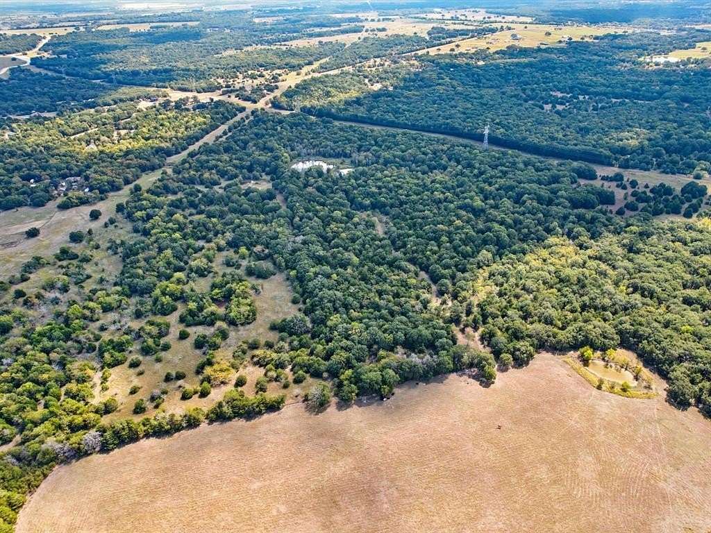 49 Acres of Recreational Land & Farm for Sale in Terrell, Texas