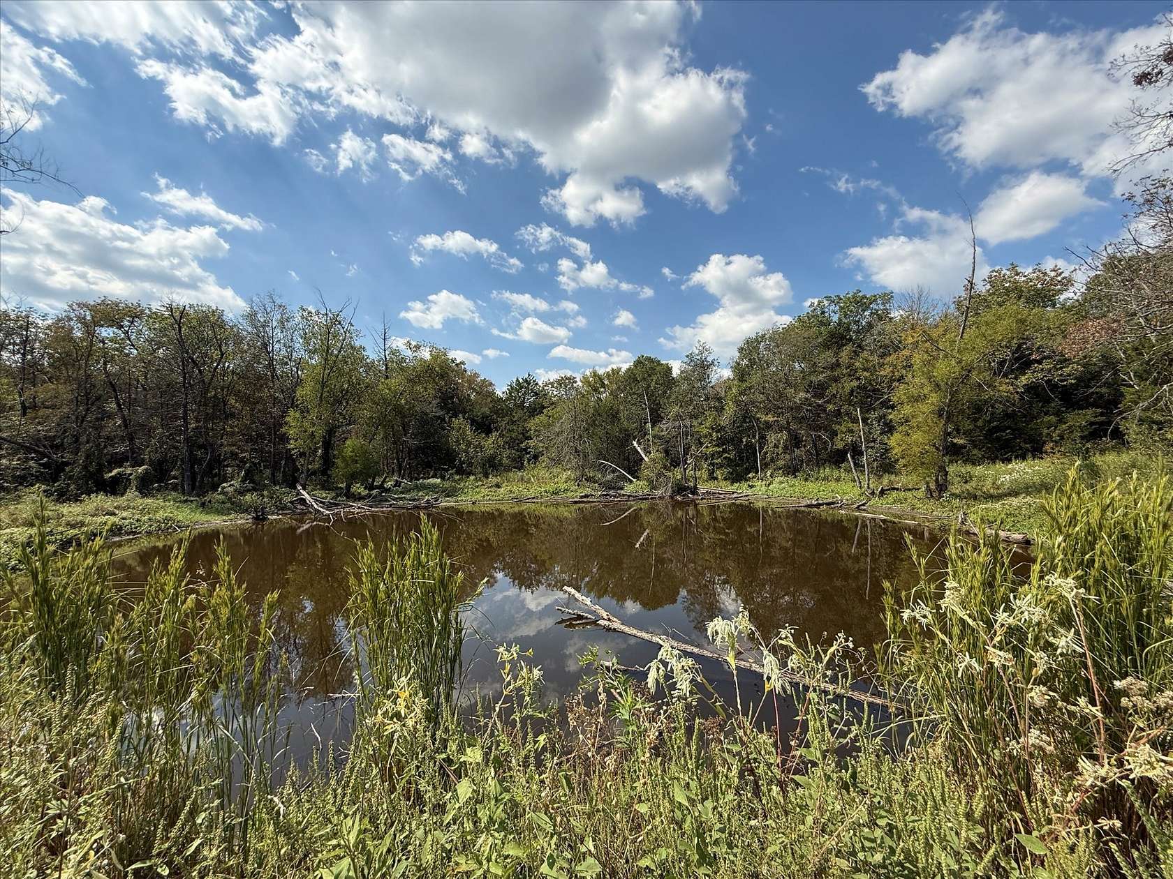 49 Acres of Land for Sale in Terrell, Texas