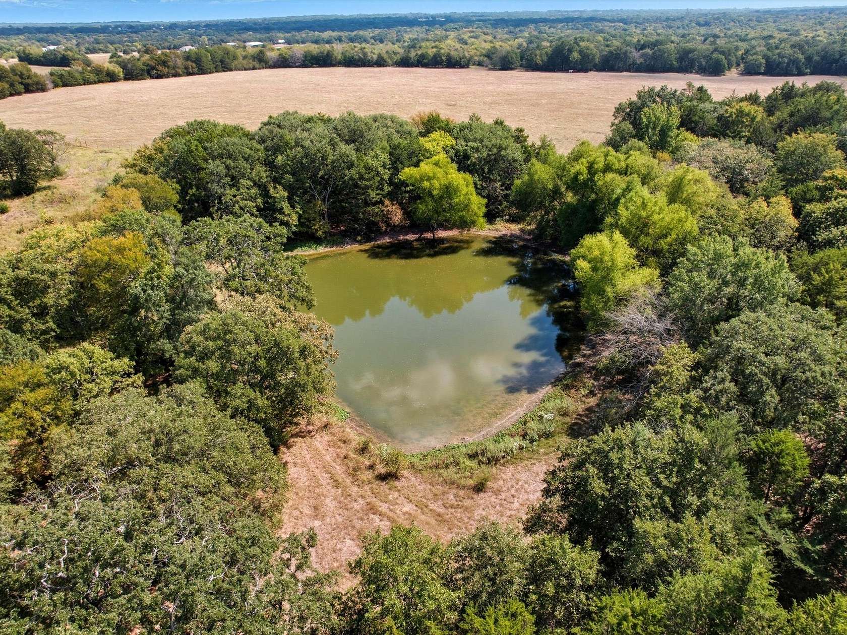68.8 Acres of Land for Sale in Terrell, Texas