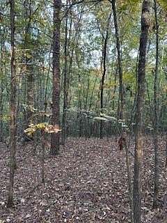 15.4 Acres of Land for Sale in Oxford, Mississippi