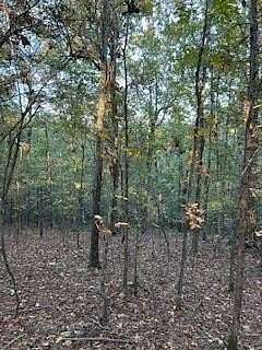 15.4 Acres of Land for Sale in Oxford, Mississippi